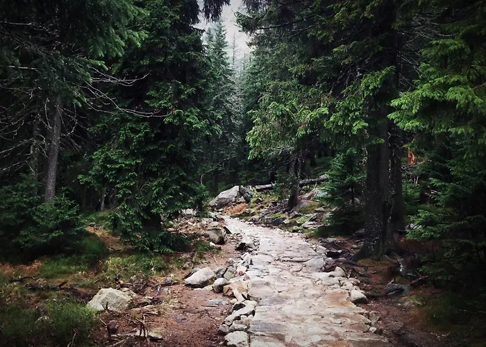 Przy Stoku Pod Papugami 2 Karpatia *