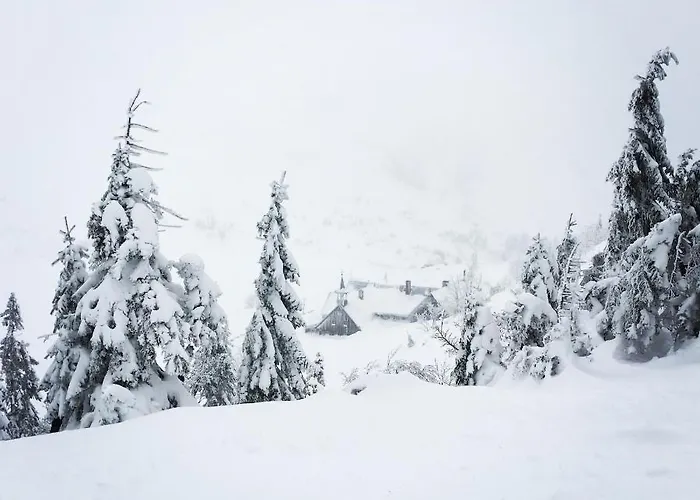 Apartmán Przy Stoku Pod Papugami 2 Karpatia *
