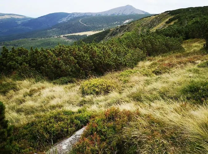 Przy Stoku Pod Papugami 2 Karpatia * Karpacz