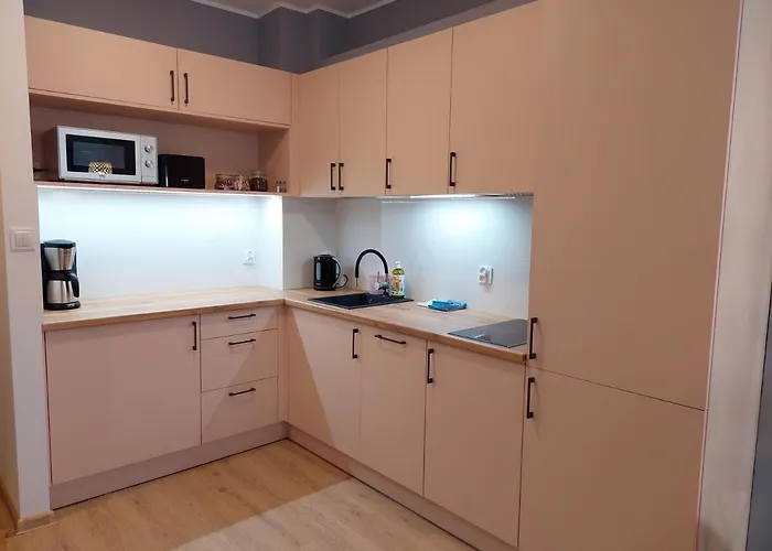 Przy Stoku Pod Papugami 2 Karpatia Apartmán *