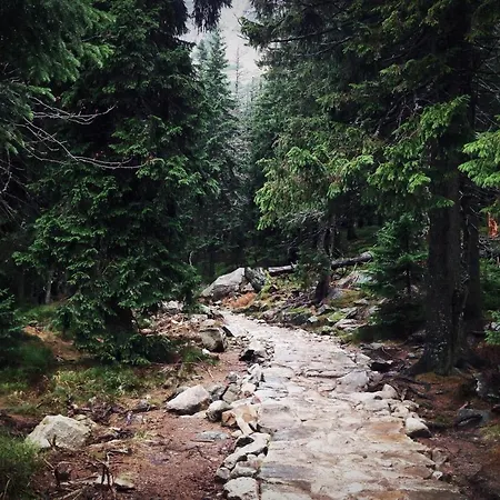 Przy Stoku Pod Papugami 2 Karpatia *