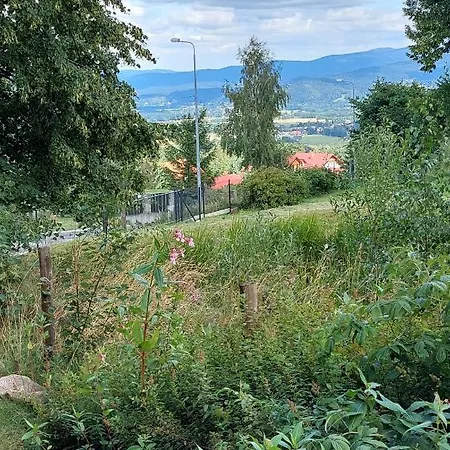 Przy Stoku Pod Papugami 2 Karpatia 公寓