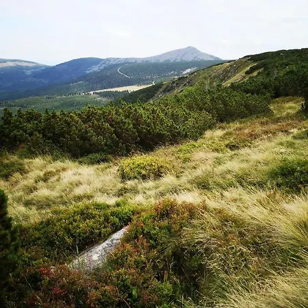 Przy Stoku Pod Papugami 2 Karpatia * Karpacz