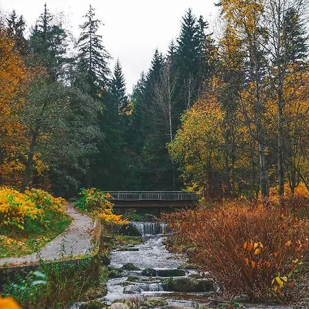 Przy Stoku Pod Papugami 2 Karpatia 公寓 卡尔帕奇