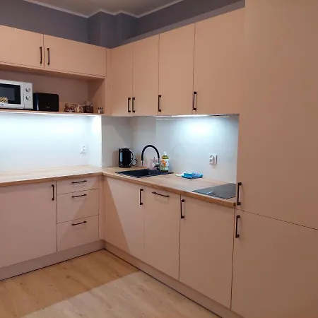 Przy Stoku Pod Papugami 2 Karpatia 公寓 *